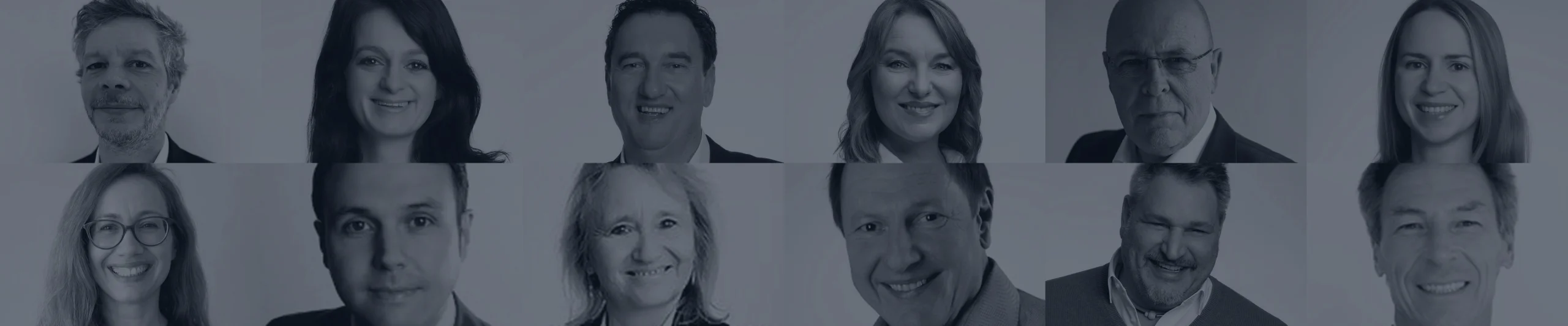 PBS Sales international B2B sales team – key account managers