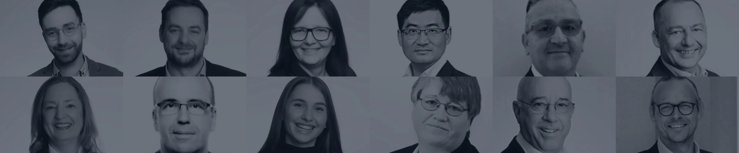 PBS Sales international B2B sales team – key account managers